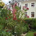 Vendégház Wielsch 4*